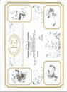 CIE Ch Int Show.pdf