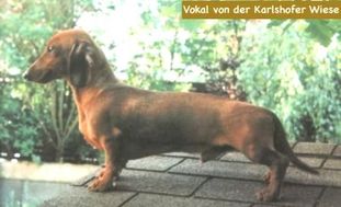 Vokal von der Karlshofer Wiese Vokal von der Karlshofer Wiese