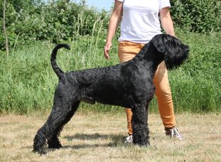 Salazar von Blackmoore Salazar von Blackmoore
