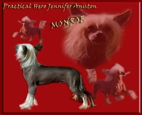 Practical Hero Jennifer Aniston Practical Hero Jennifer Aniston