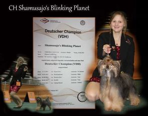 Shamusajo's Blinking Planet Shamusajo's Blinking Planet