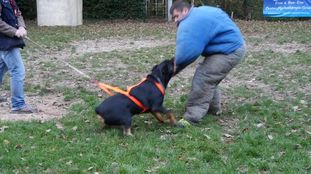 Marley de Froid Vent Saint Hilaire (02.04.2016) Marley de Froid Vent Saint Hilaire (02.04.2016)