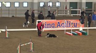 Bia LOI 14102531 Bia LOI 14102531