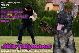 Atta Fatymona Atta Fatymona