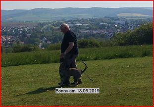 Bonny vom Smaragdwald Bonny vom Smaragdwald
