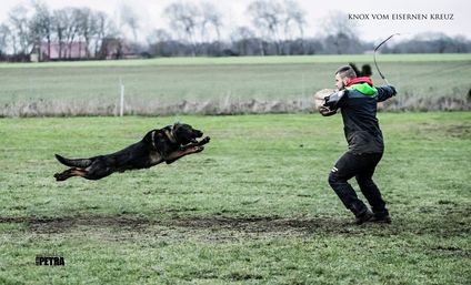 Knox vom Eisernen Kreuz Knox vom Eisernen Kreuz