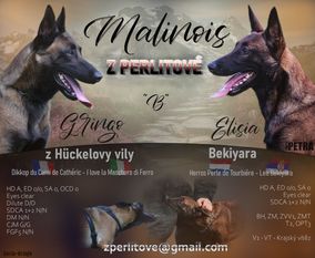 Elisia Bekiyara Elisia Bekiyara