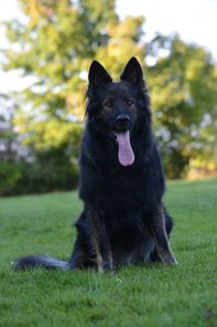 Argo Vlčí údolí Argo Vlčí údolí