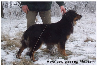 Kaja von Jesses Meute Kaja von Jesses Meute
