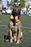 Nelson LOSH 1146999 (Clerq)