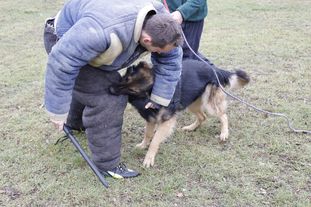 Darek z Kristova Darek z Kristova