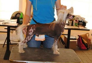 Smart Style Lirano Smart Style Lirano