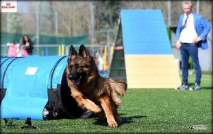 Ilona Clever Canin Ilona Clever Canin