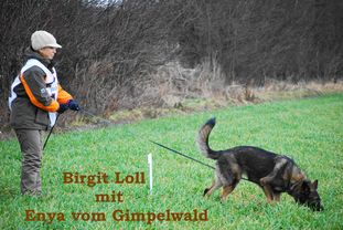 Enya vom Gimpelwald Enya vom Gimpelwald