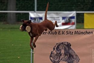 Good-Girl vom Hause Rehberg Good-Girl vom Hause Rehberg