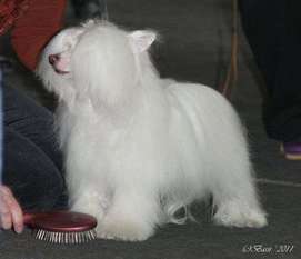 Naleks Art Zefir White Cloud Naleks Art Zefir White Cloud