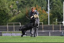Ironhide von der Black Pearl