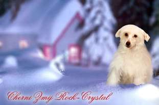 Cherni Zmij Rock-crystal Cherni Zmij Rock-crystal