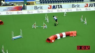 Eliot Black Elita Triumphans Eliot Black Elita Triumphans