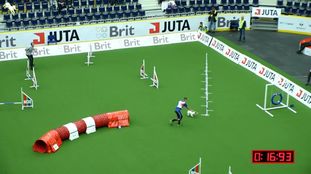 Goldjump Aus.Simply the Best Goldjump Aus.Simply the Best
