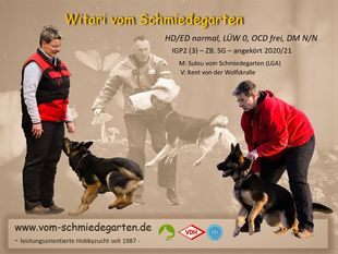 Witari vom Schmiedegarten Witari vom Schmiedegarten