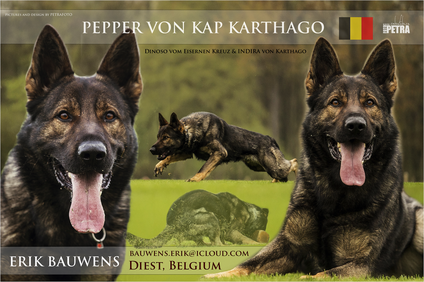 Pepper von Kap Karthago Pepper von Kap Karthago