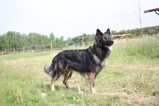 Edgar von Gondor Edgar von Gondor