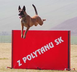 Chicka Force Canina Chicka Force Canina