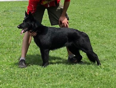 Aika von der Wiesenkapelle Aika von der Wiesenkapelle
