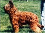 Saganne du Mas de Chantranne