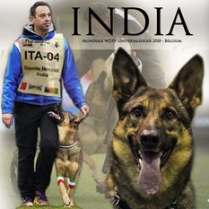 India (LOI 14/151796) India (LOI 14/151796)