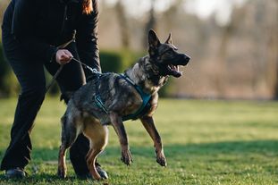 Clara von den Teufelsweibern Clara von den Teufelsweibern