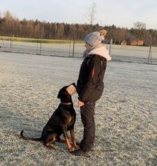 E'Keju European K9 training base E'Keju European K9 training base