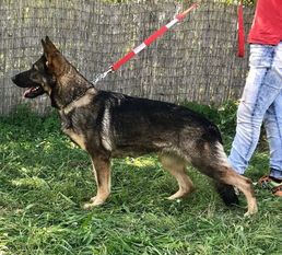 Anja von der Wolfsstärke Anja von der Wolfsstärke
