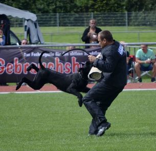 Urmel vom Gutspark Urmel vom Gutspark