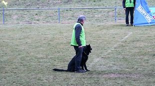 Balto von der Sturmburg Balto von der Sturmburg