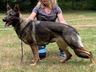 Arya von Grünheide Arya von Grünheide