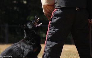 Mailo vom schönen Blick Mailo vom schönen Blick