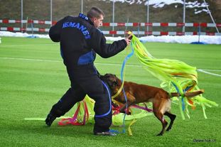 Bosco Betkin dvor Bosco Betkin dvor