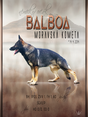 Balboa Morávská kometa Balboa Morávská kometa