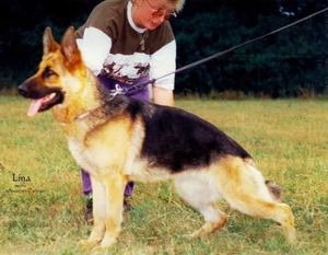 Lina aus dem schwarzen Zwinger Lina aus dem schwarzen Zwinger