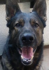 Tango von MaKeRa Tango von MaKeRa