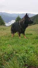 Edgar von Gondor Edgar von Gondor