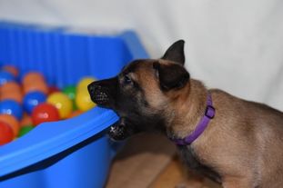 Demi Delila von der schwarzen Mamba Demi Delila von der schwarzen Mamba