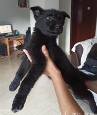 Tisa von Sico Schwarz Haus Tisa von Sico Schwarz Haus