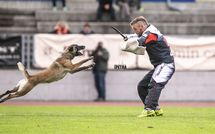 Cadha Force Canina