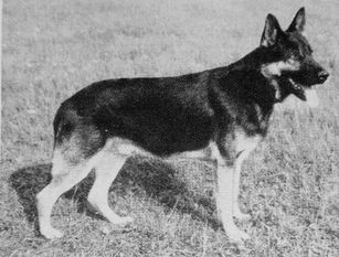 Hardt von Bad Melle Hardt von Bad Melle