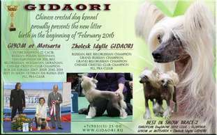 Zholesk Idylle Gidaori Zholesk Idylle Gidaori
