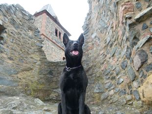 Gasira von der Herdergang Gasira von der Herdergang