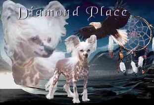 Zsa Zsa Gabor Fantasy Island Zsa Zsa Gabor Fantasy Island